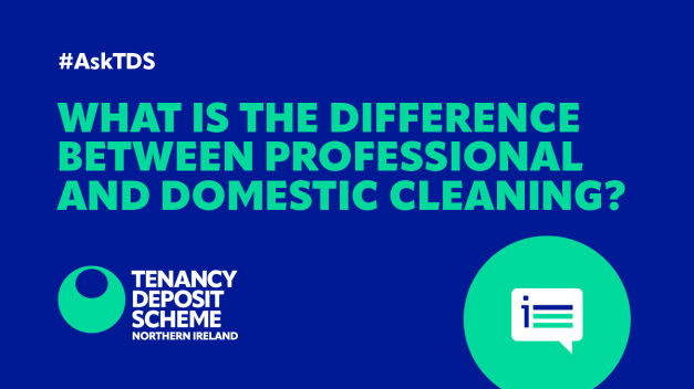 AskTDSNI: "What is the difference between professional and domestic cleaning?"