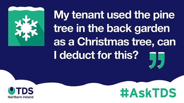#AskTDS: "My tenant used the pine tree in the back garden as a Christmas tree, can I deduct for this?"