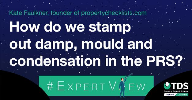 ExpertView_21.11.17