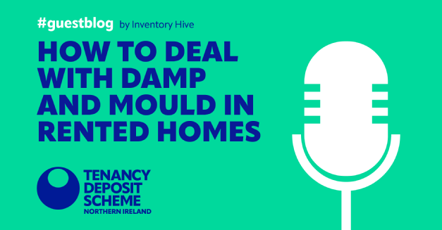 How to deal with damp and mould in rented homes